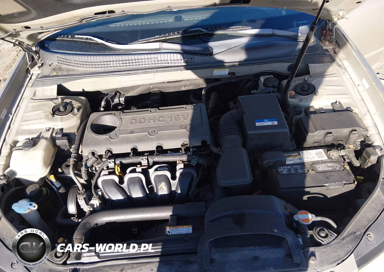 2010 Hyundai Sonata Gls VIN:5NPET4AC1AH608255 - 10