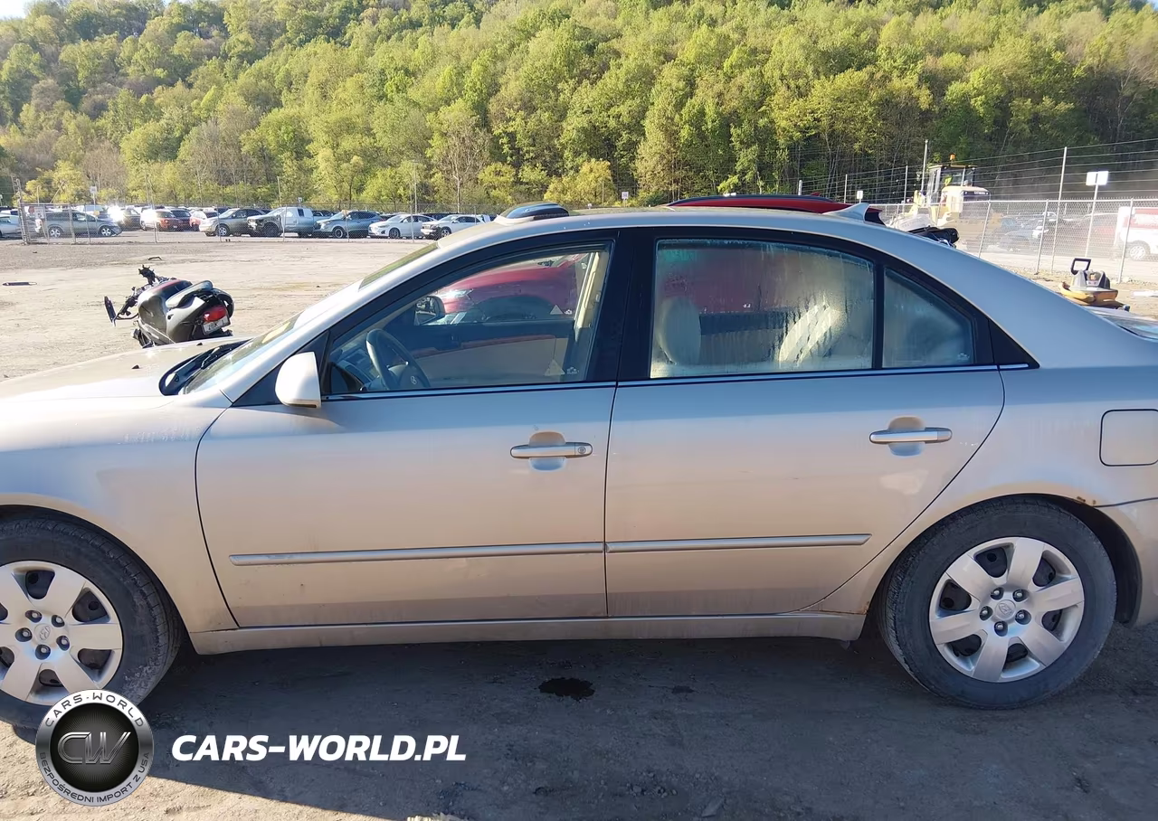 2010 Hyundai Sonata Gls VIN:5NPET4AC1AH608255 - 14