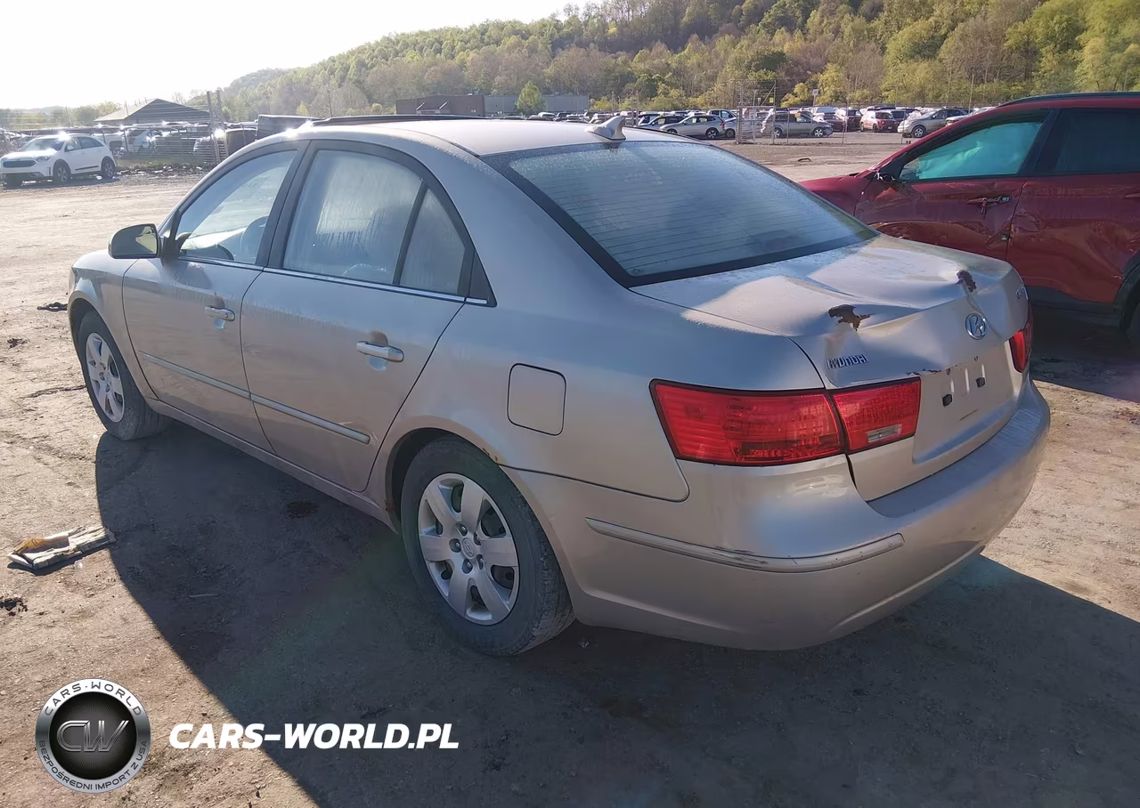 2010 Hyundai Sonata Gls VIN:5NPET4AC1AH608255 - 3
