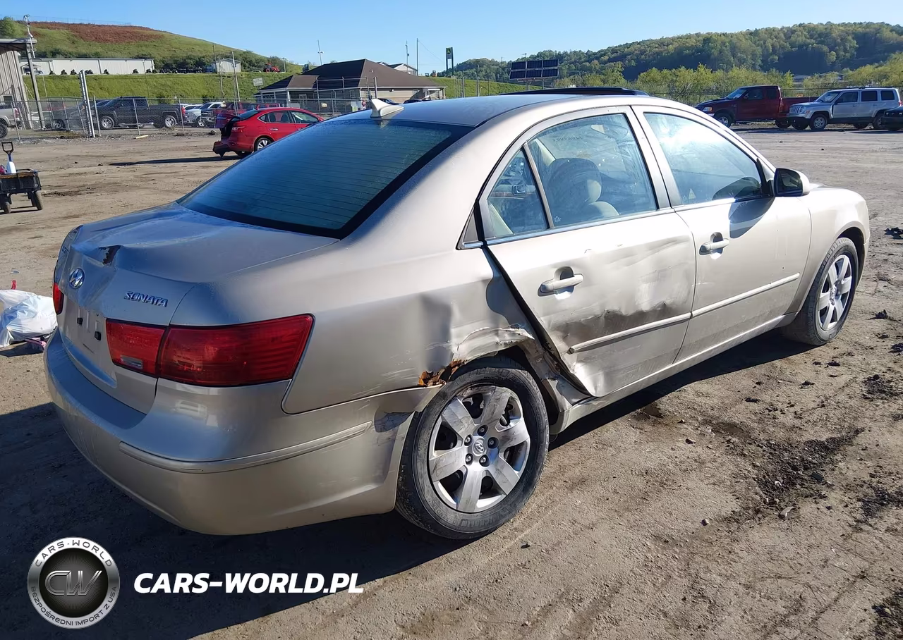 2010 Hyundai Sonata Gls VIN:5NPET4AC1AH608255 - 4