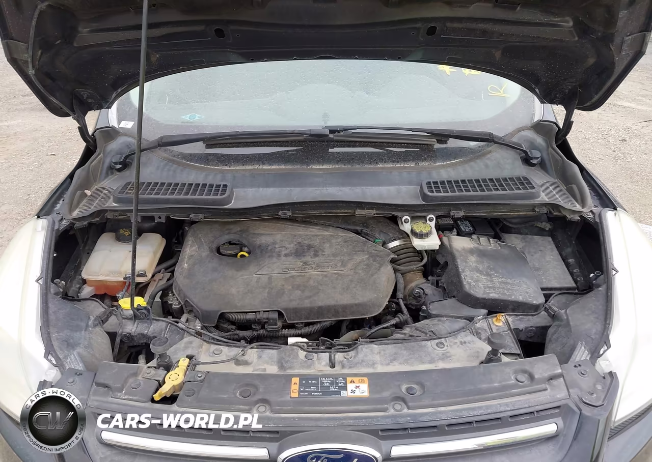 2015 Ford Escape Se VIN:1FMCU0GX7FUA23650 - 10