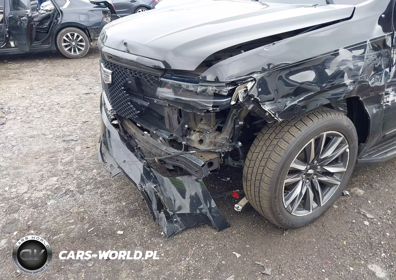 2022 Cadillac Escalade Esv 2Wd Sport VIN:1GYS3NKL0NR217100 - 17