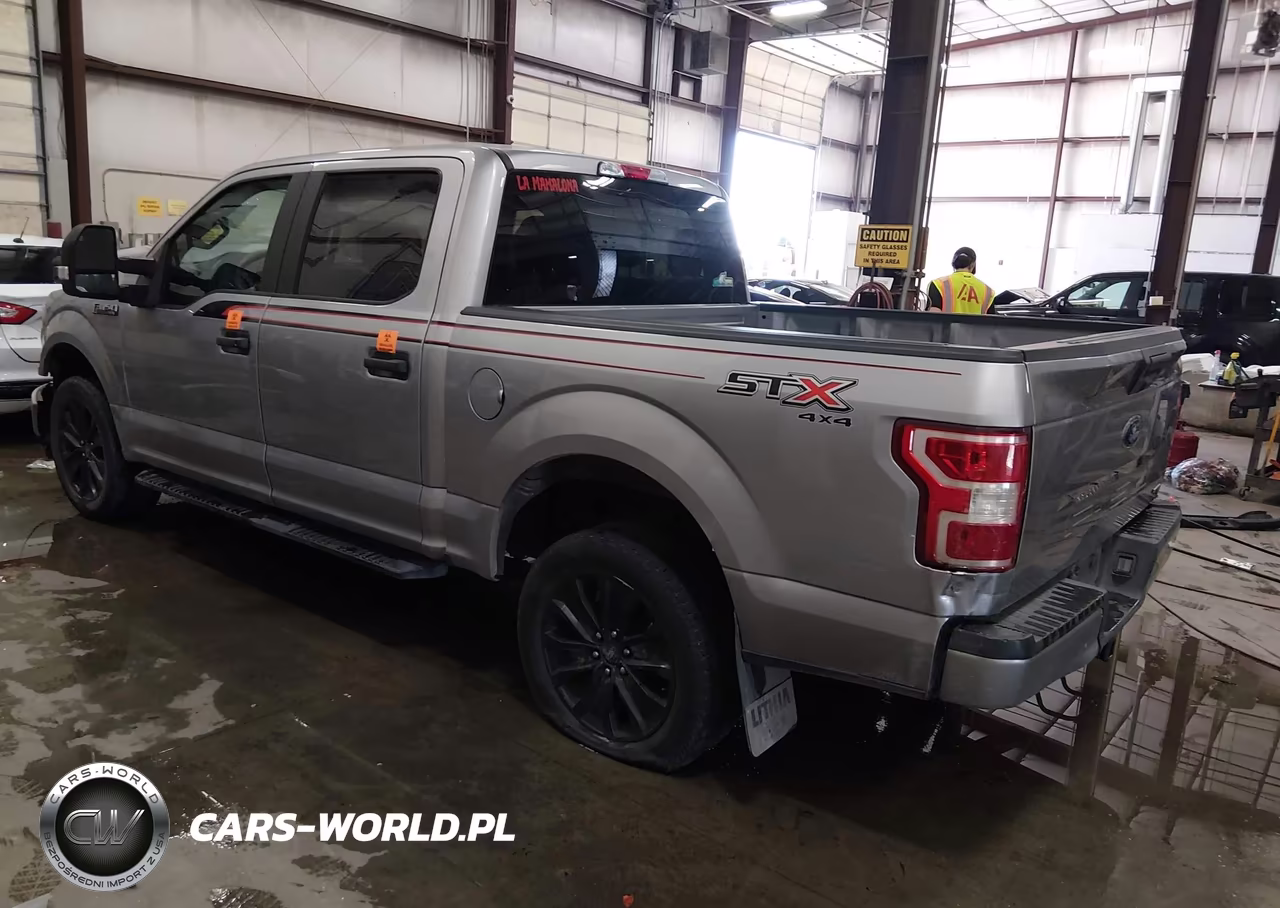 2020 Ford F-150 Xl VIN:1FTEW1EP6LFA62455 - 3