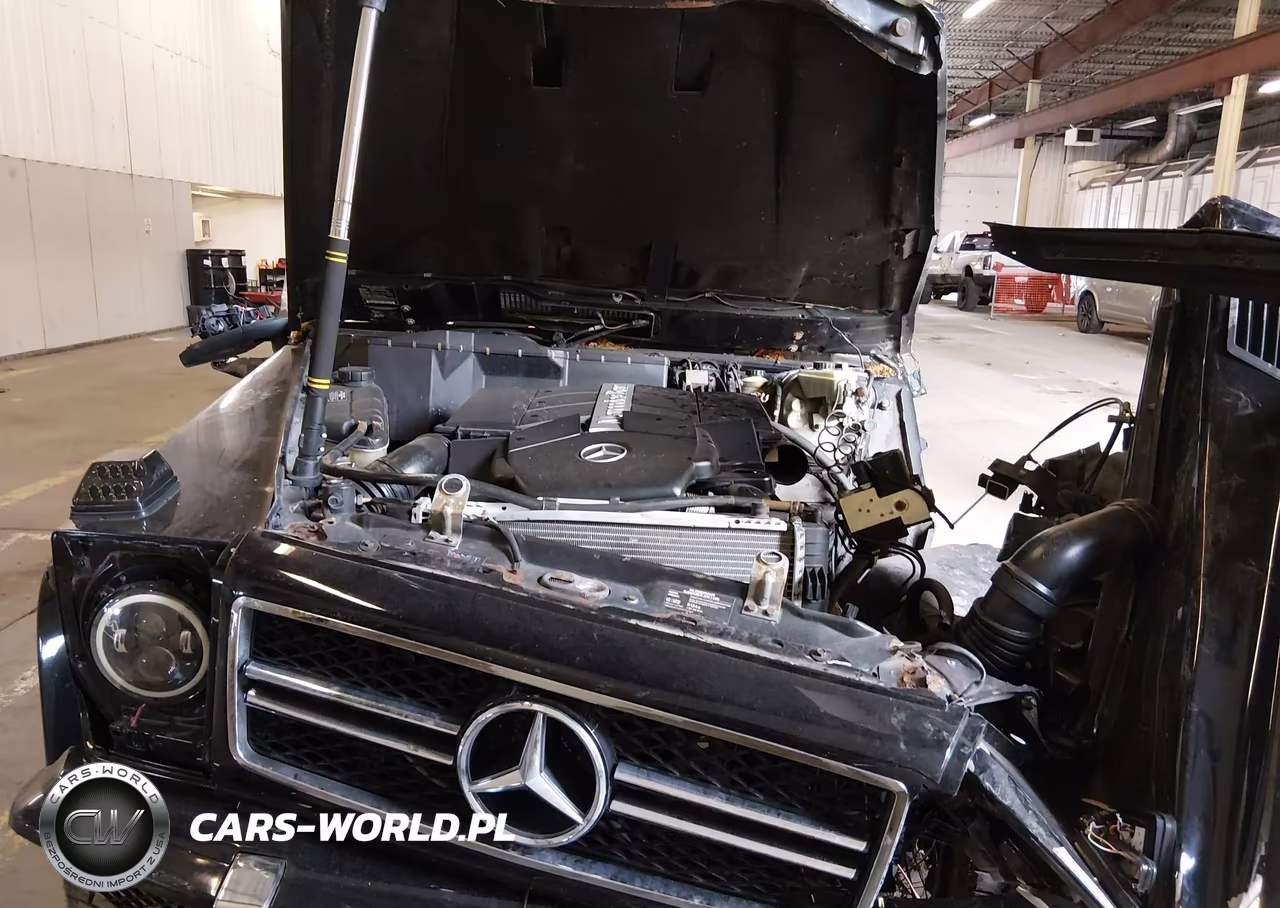 2002 Mercedes-Benz G 500 VIN:WDCYR49EX2X129298 - 10