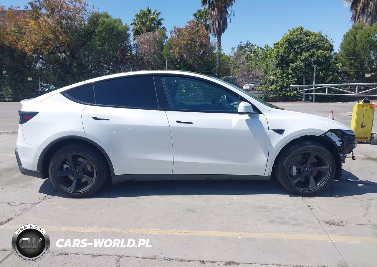 2026 Tesla Model Y All-Wheel Drive-Long Range Launch Series-Premium All-Wheel Drive VIN:7SAYGDEEXTF453996 - 13