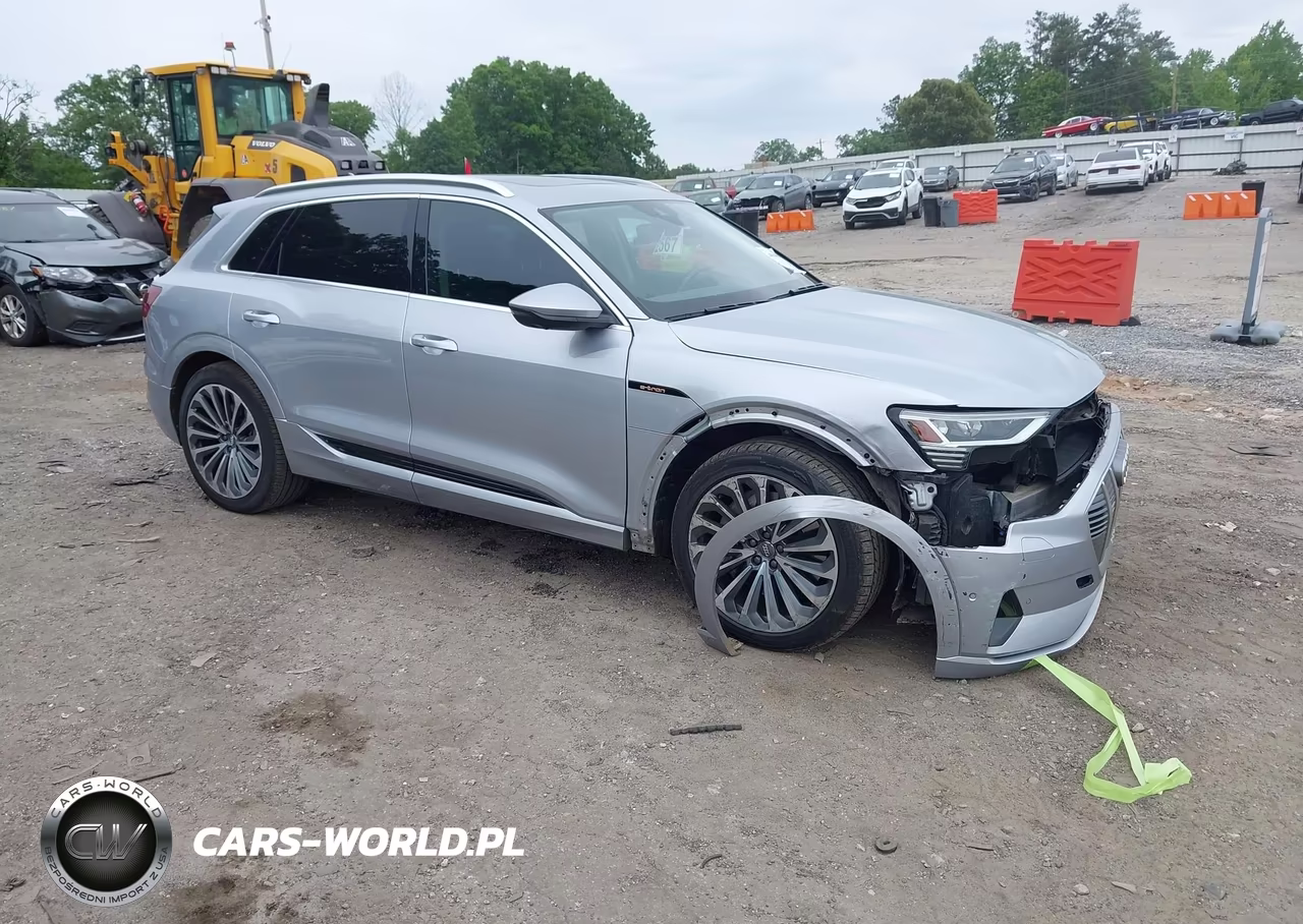 2019 Audi E-Tron Premium Plus – zdjęcie 1 z 18
