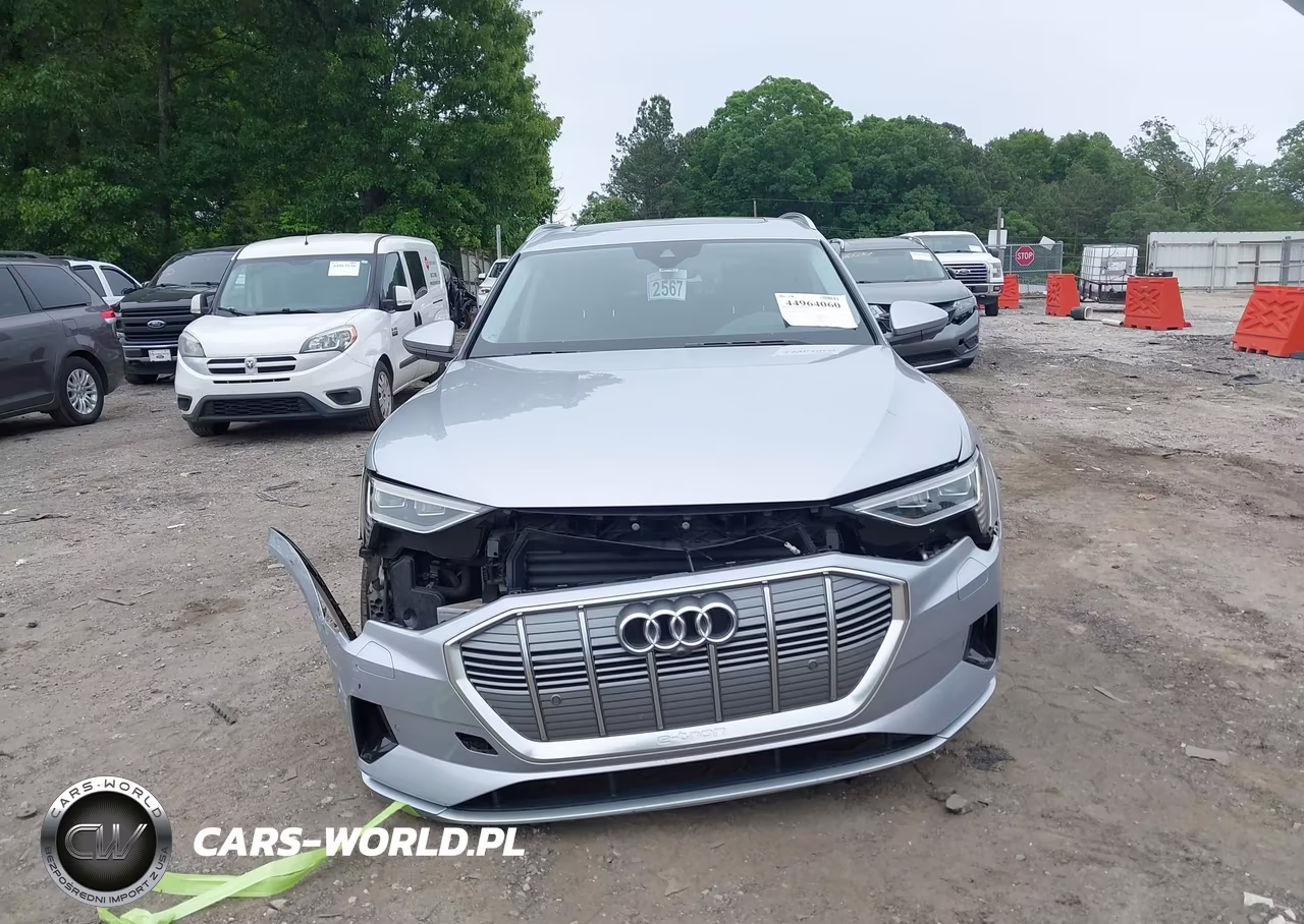 2019 Audi E-Tron Premium Plus VIN:WA1VABGE8KB011149 - 12