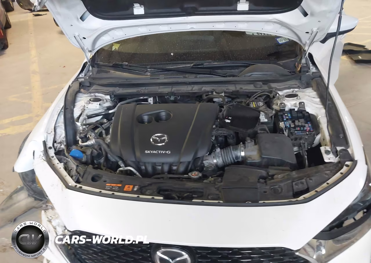 2019 Mazda Mazda3 Preferred Package VIN:3MZBPADL5KM113132 - 10