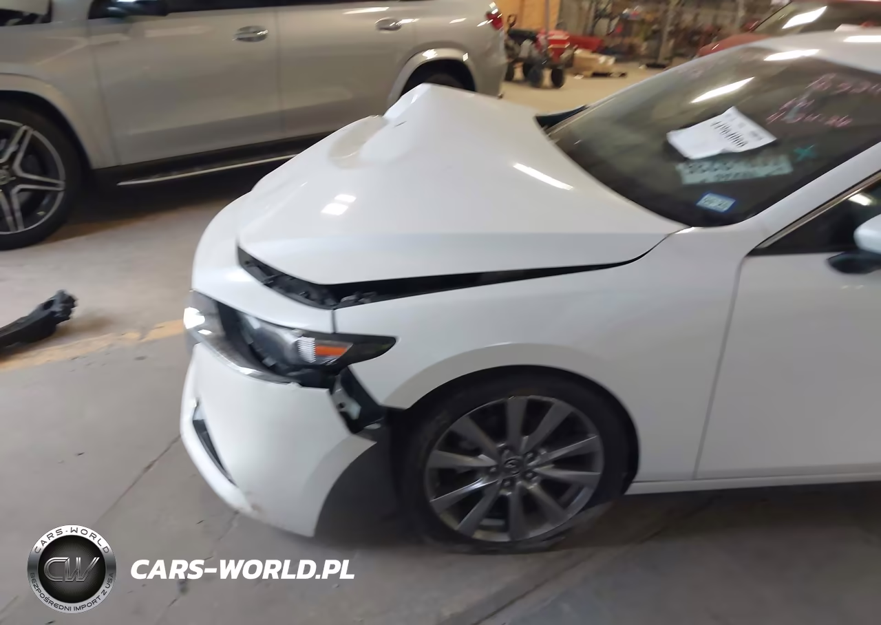 2019 Mazda Mazda3 Preferred Package VIN:3MZBPADL5KM113132 - 6