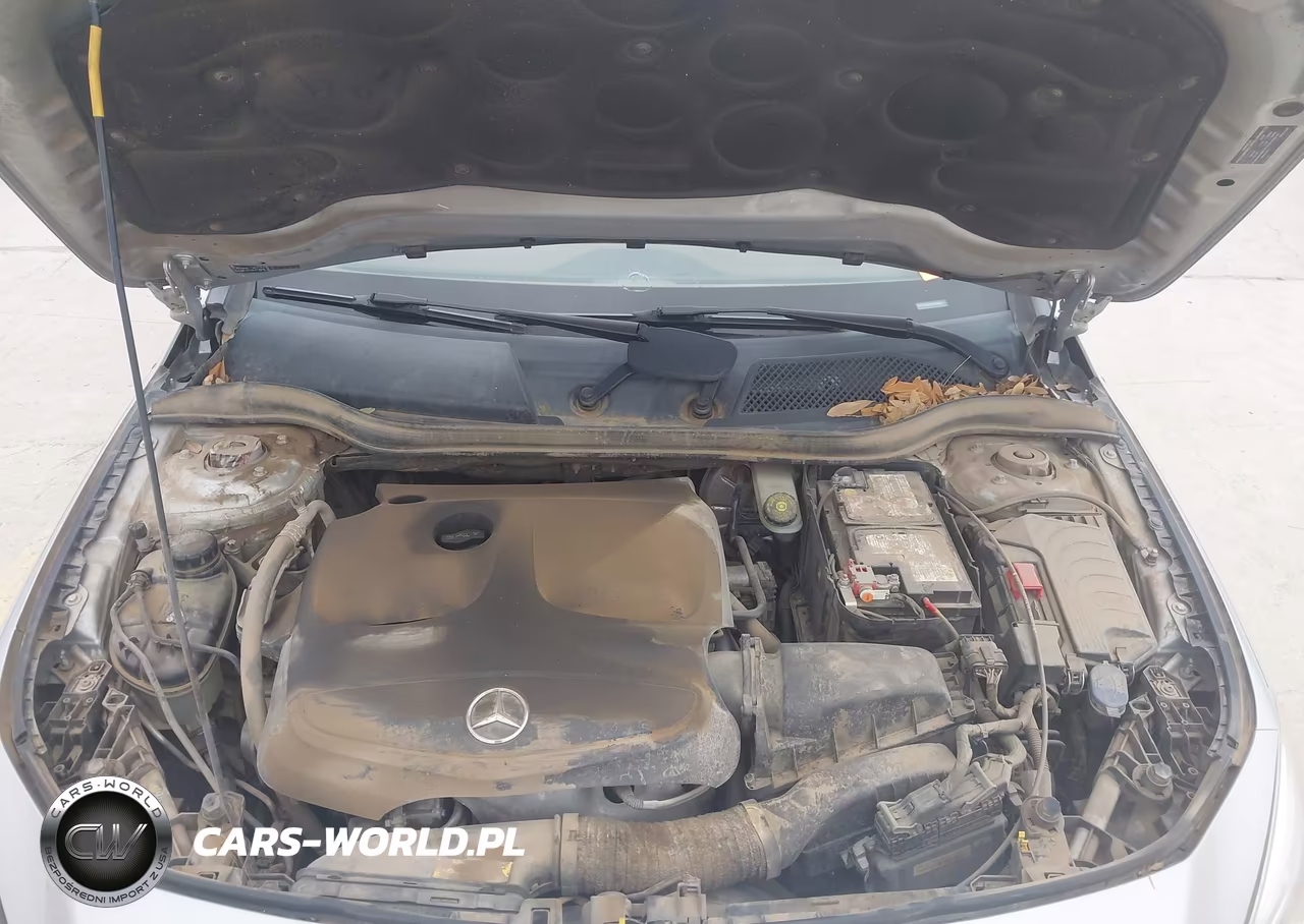 2014 Mercedes-Benz Cla 250 VIN:WDDSJ4EB7EN045847 - 10