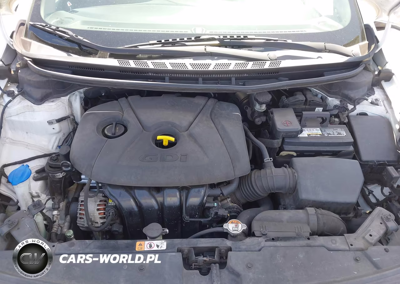 2017 Kia Forte Lx VIN:KNAFK5A84H5668899 - 10