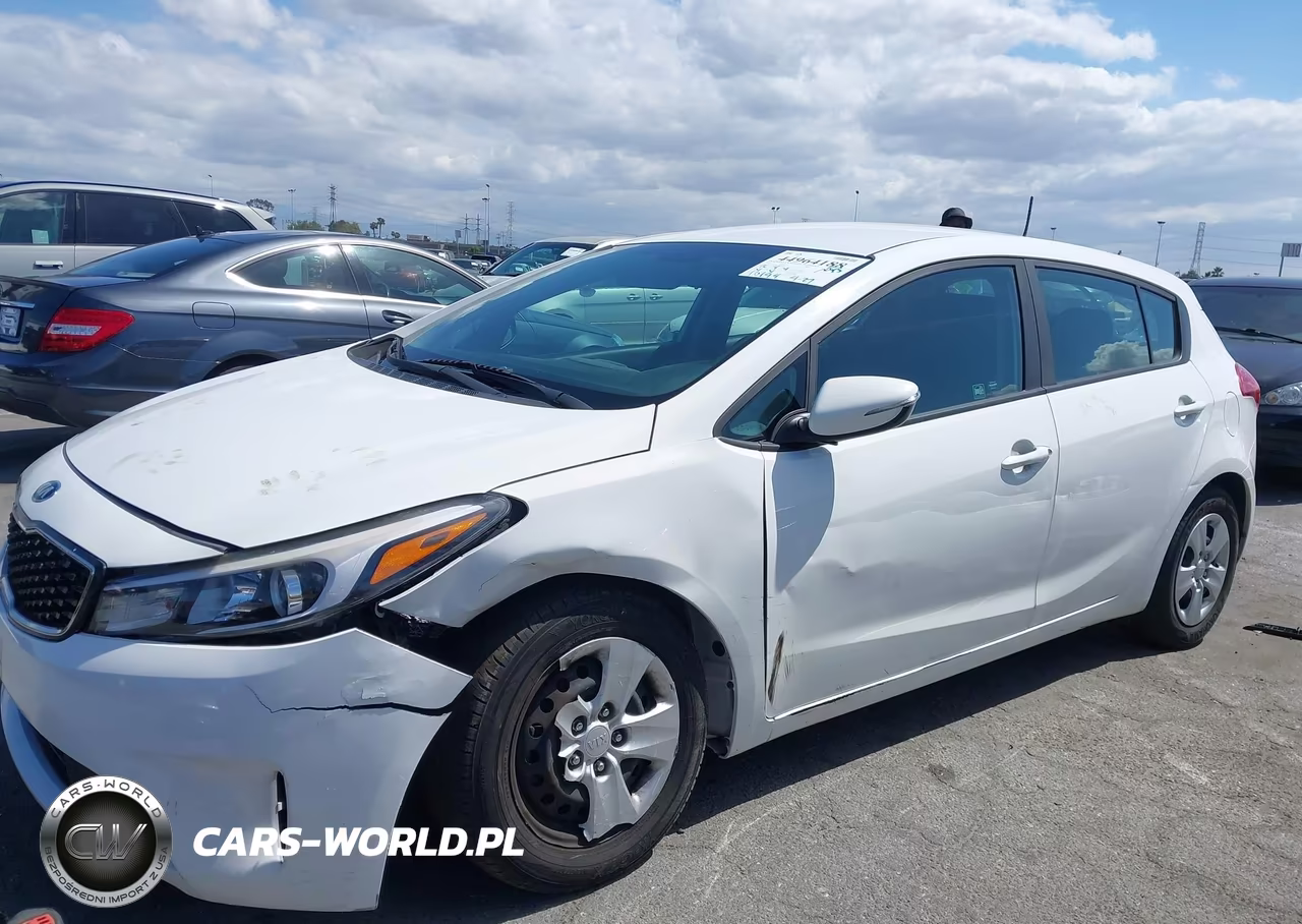2017 Kia Forte Lx VIN:KNAFK5A84H5668899 - 6