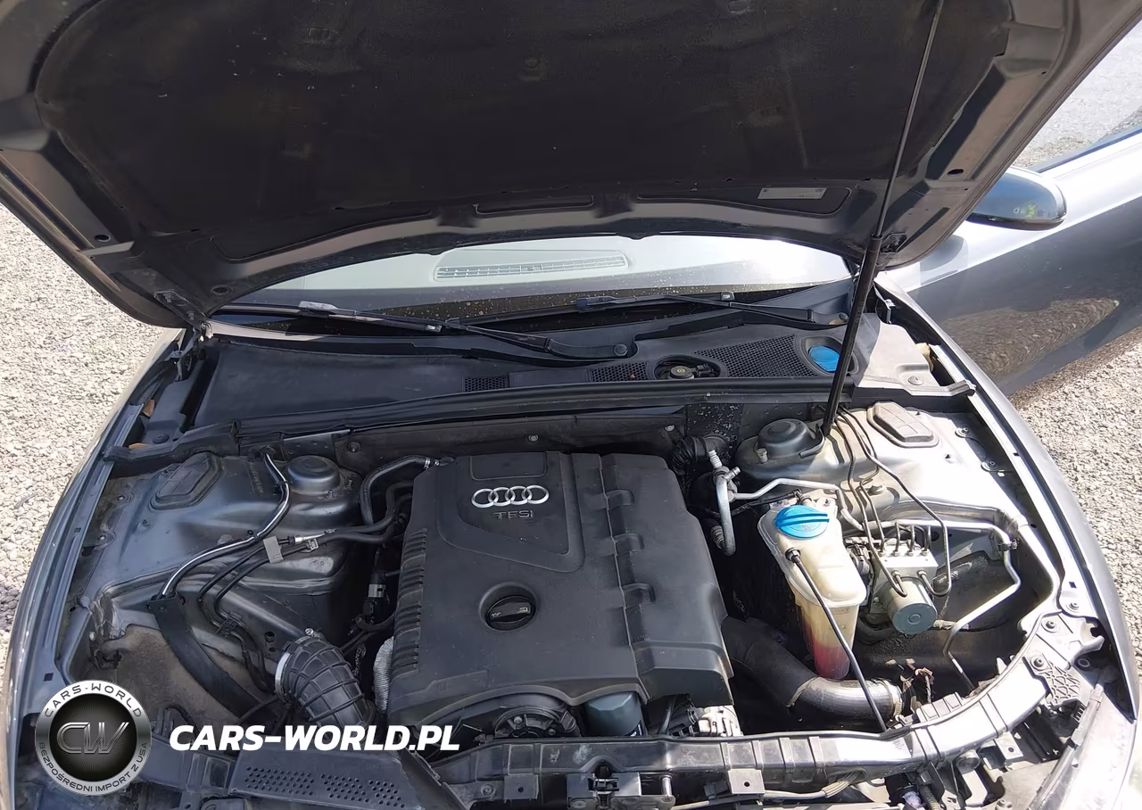 2013 Audi A5 2.0T Premium VIN:WAULFAFR1DA015191 - 10