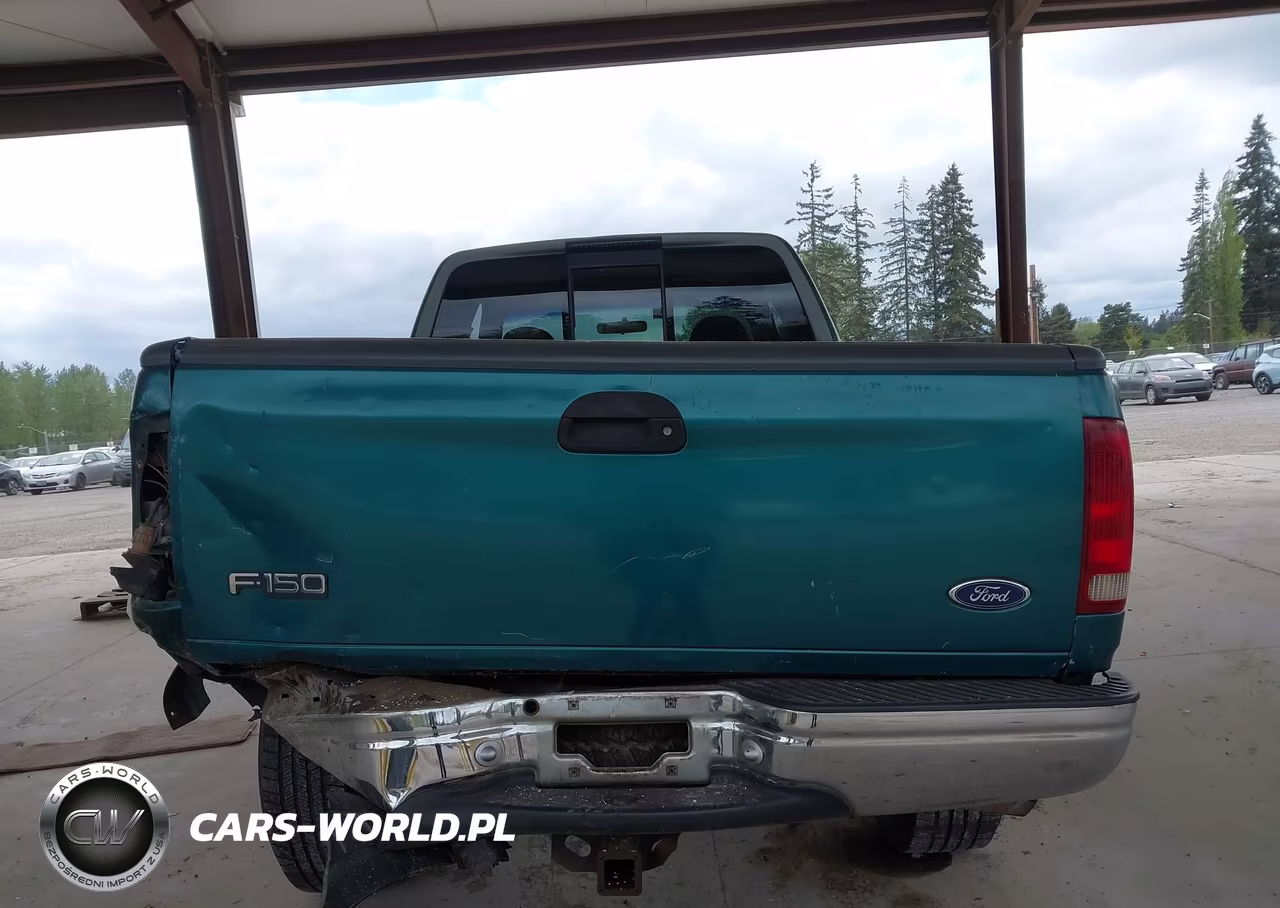 1998 Ford F-150 Lariat-Standard-Xl-Xlt VIN:1FTRX18L6WKA43178 - 16