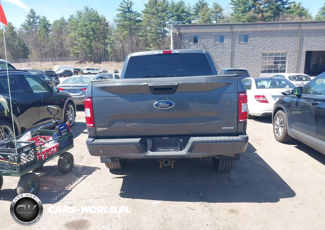 2020 Ford F-150 Xl VIN:1FTEW1EP2LFC14876 - 16