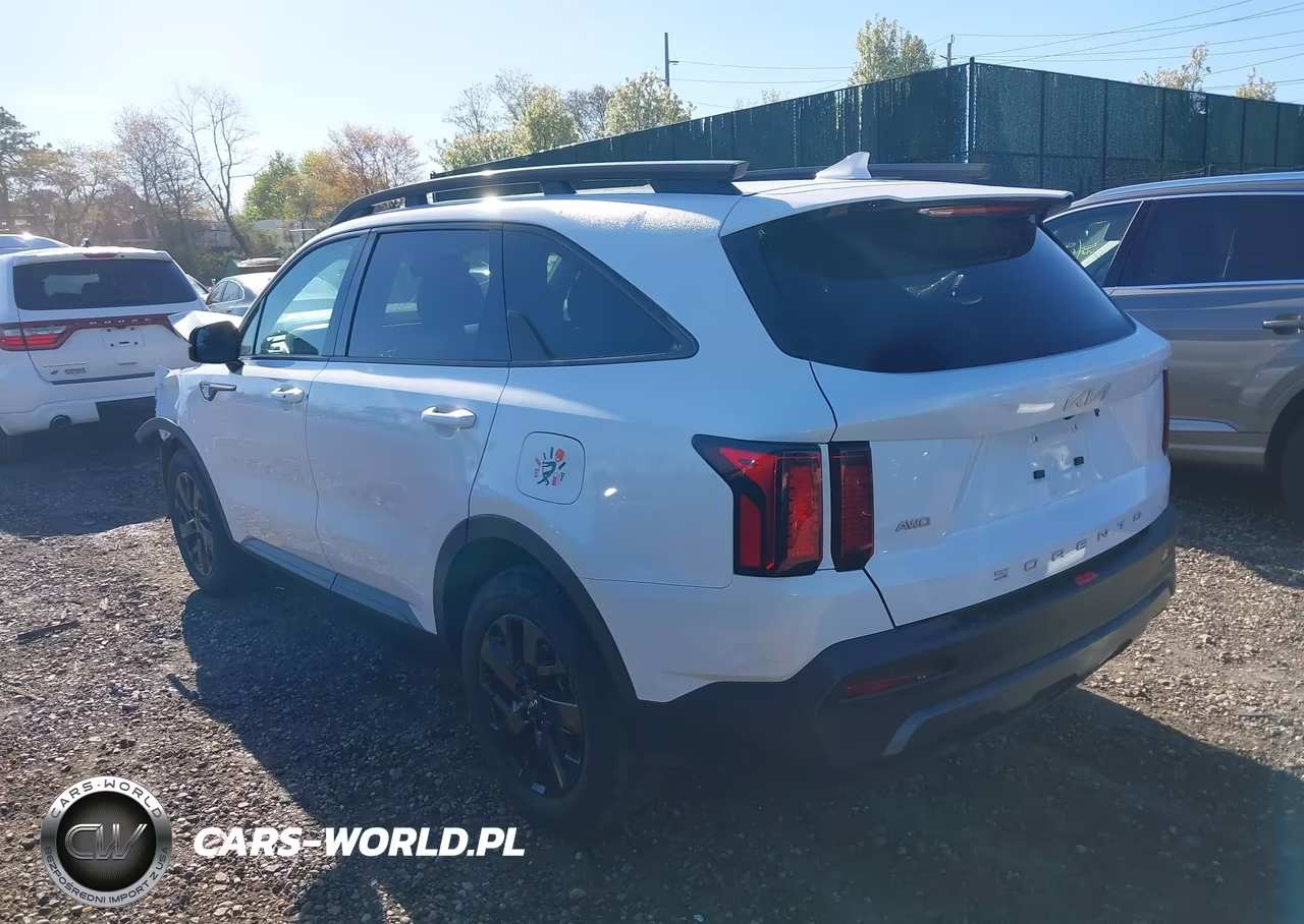 2022 Kia Sorento X-Line S VIN:5XYRLDLC0NG124752 - 3