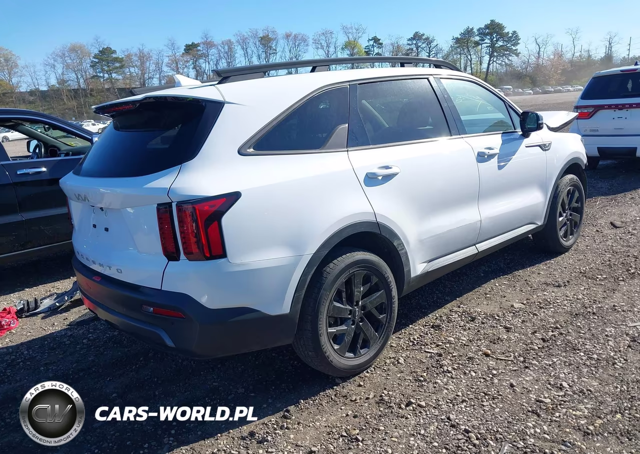 2022 Kia Sorento X-Line S VIN:5XYRLDLC0NG124752 - 4