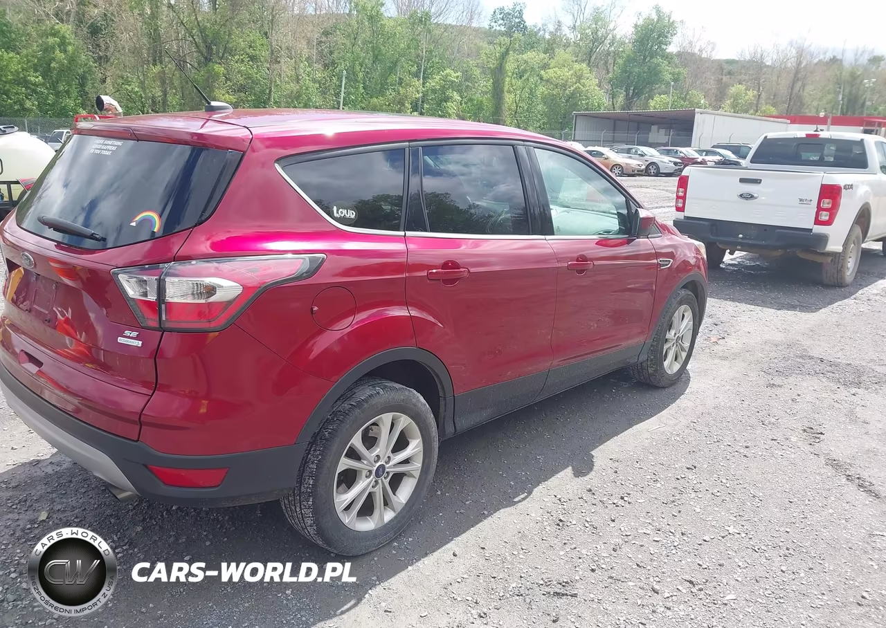 2017 Ford Escape Se VIN:1FMCU0GD9HUA89299 - 4