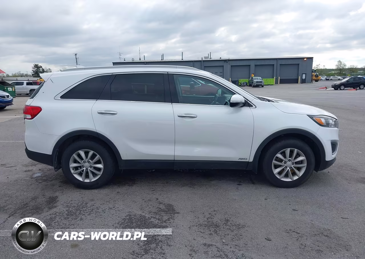2018 Kia Sorento 2.4L Lx VIN:5XYPGDA34JG424352 - 13