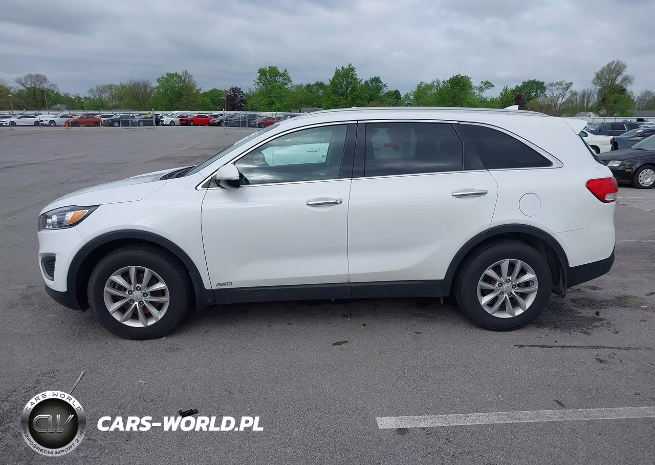 2018 Kia Sorento 2.4L Lx VIN:5XYPGDA34JG424352 - 14