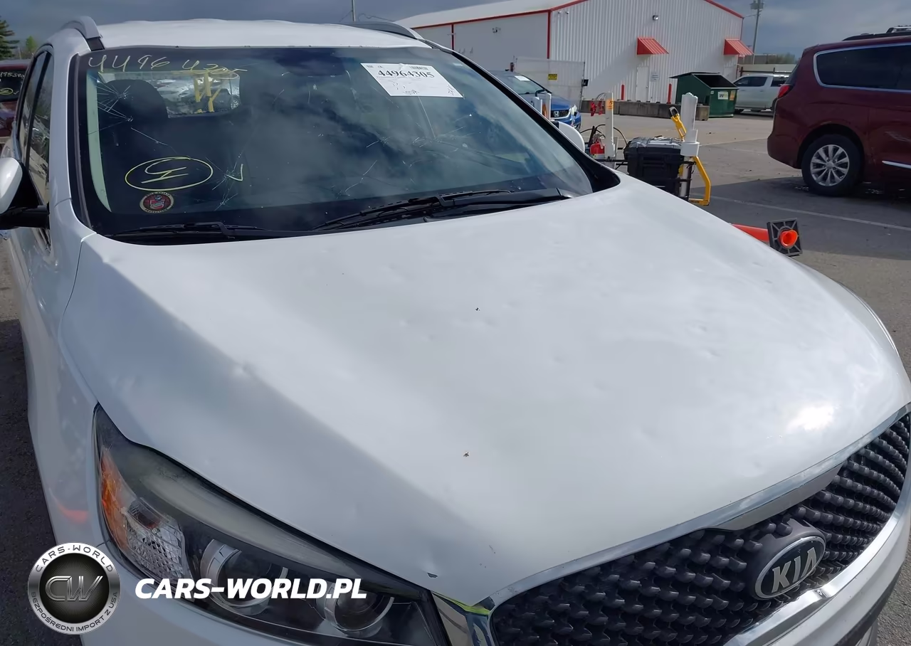 2018 Kia Sorento 2.4L Lx VIN:5XYPGDA34JG424352 - 6
