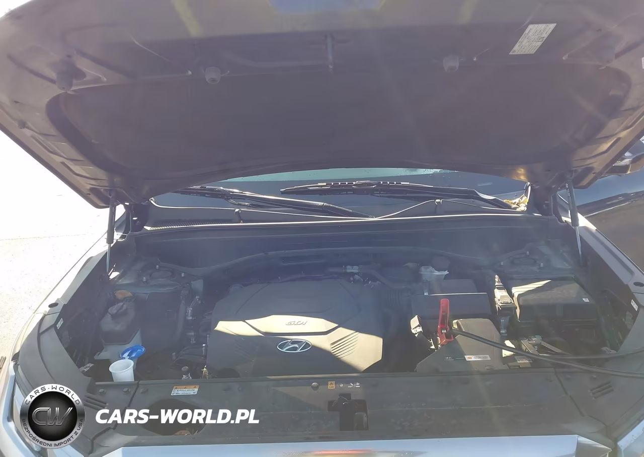 2024 Hyundai Palisade Calligraphy VIN:KM8R74GE0RU677255 - 10