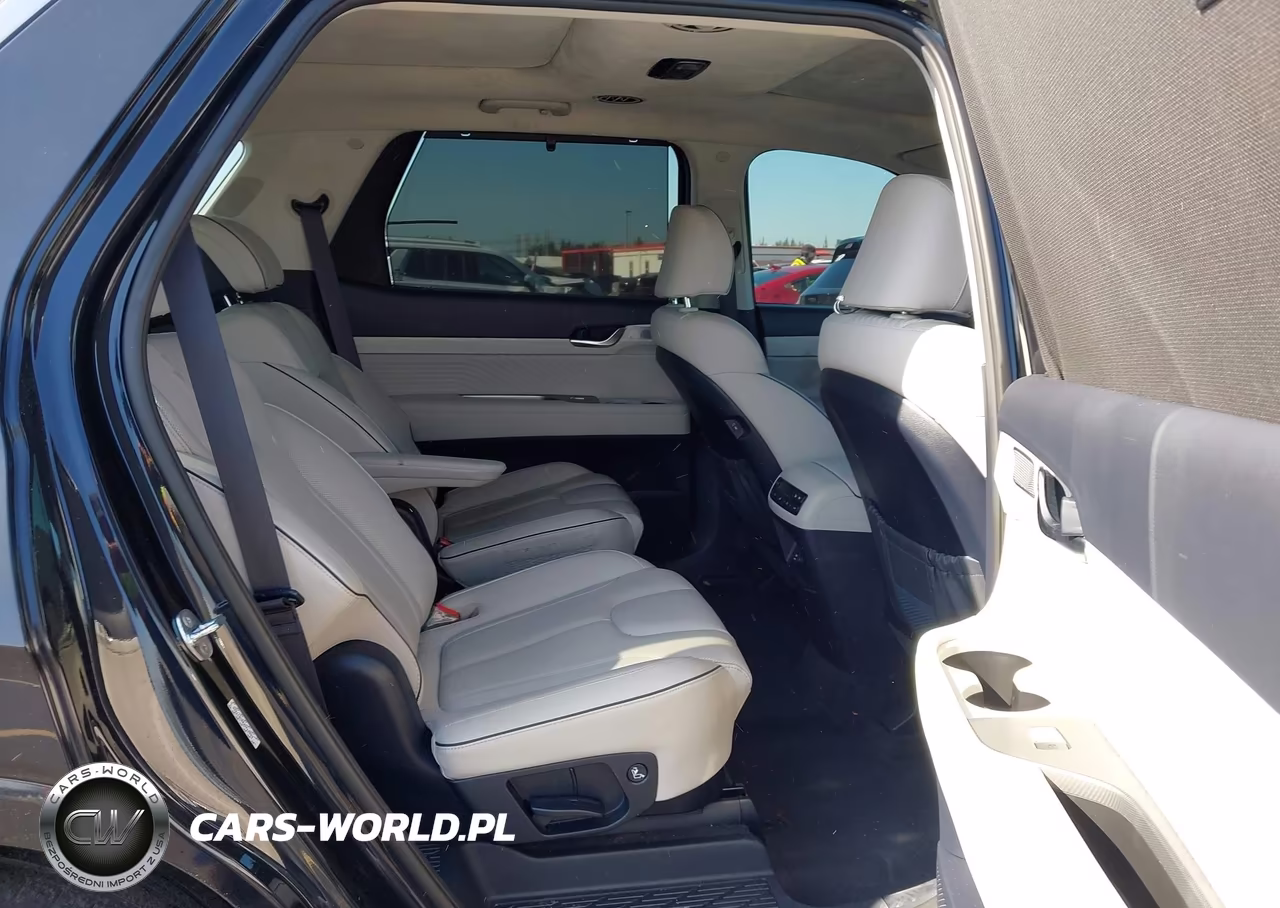 2024 Hyundai Palisade Calligraphy VIN:KM8R74GE0RU677255 - 8