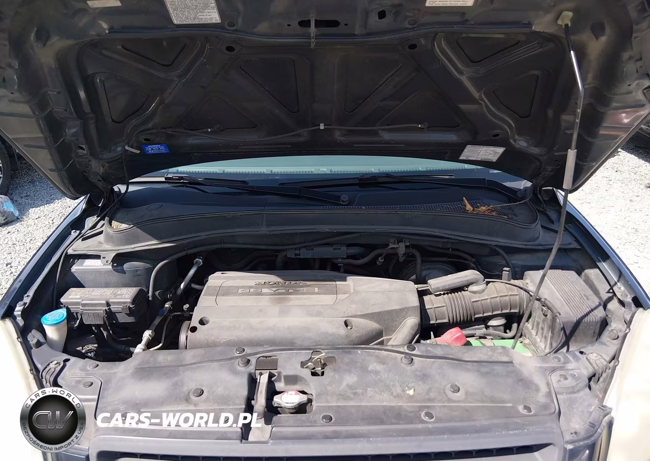 2004 Honda Pilot Lx VIN:2HKYF18164H518692 - 10