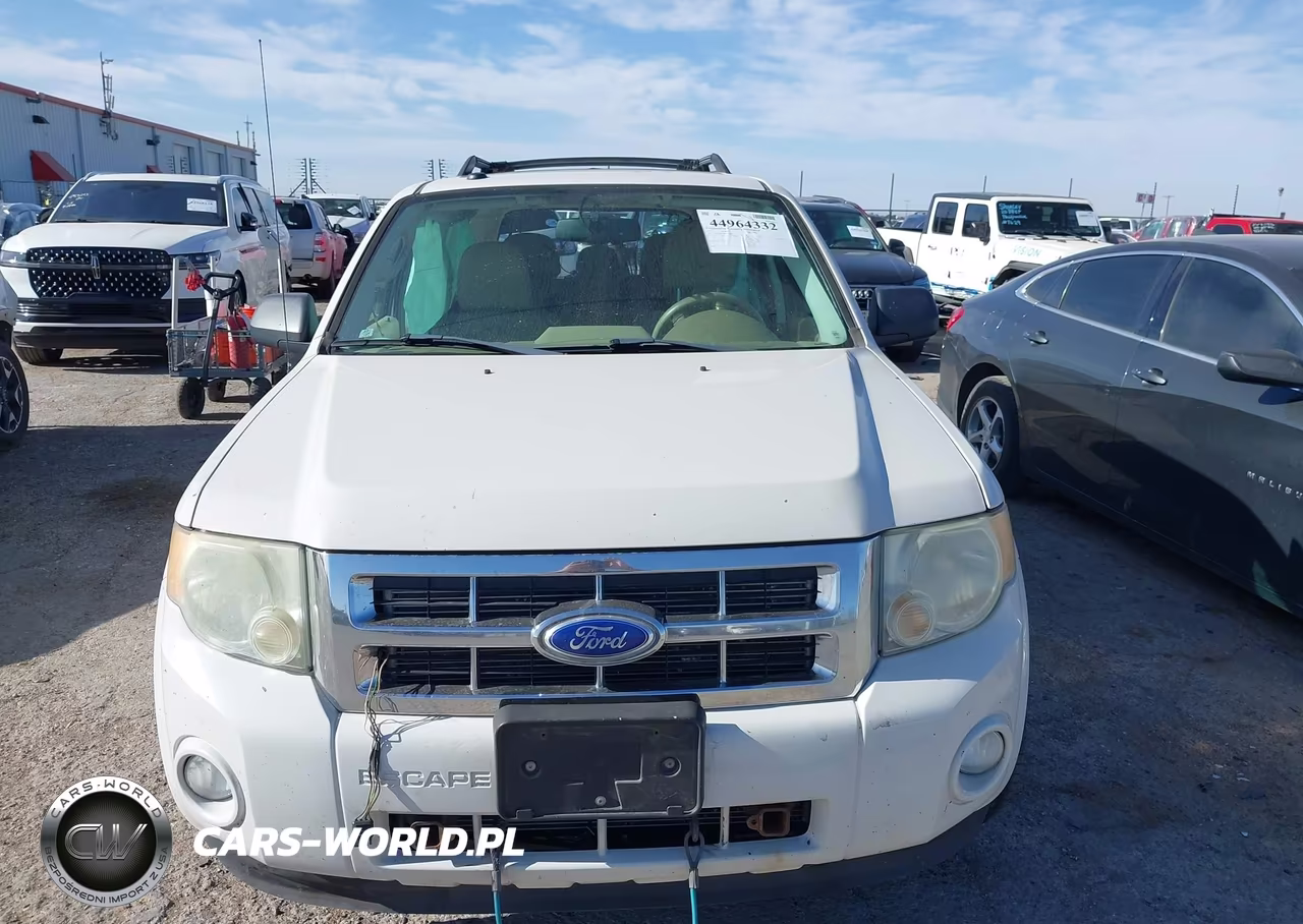 2011 Ford Escape Xlt VIN:1FMCU0DG8BKC02838 - 11