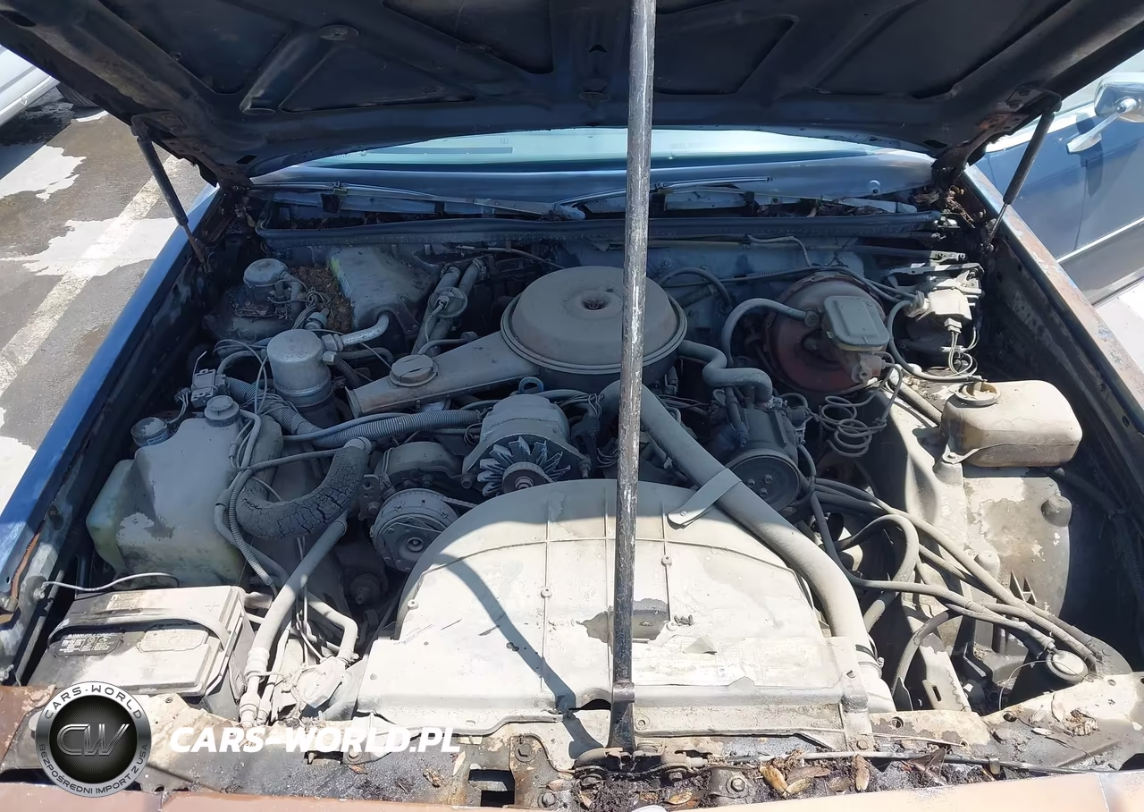 1981 Buick Century VIN:1G4AH69A1BZ115373 - 10