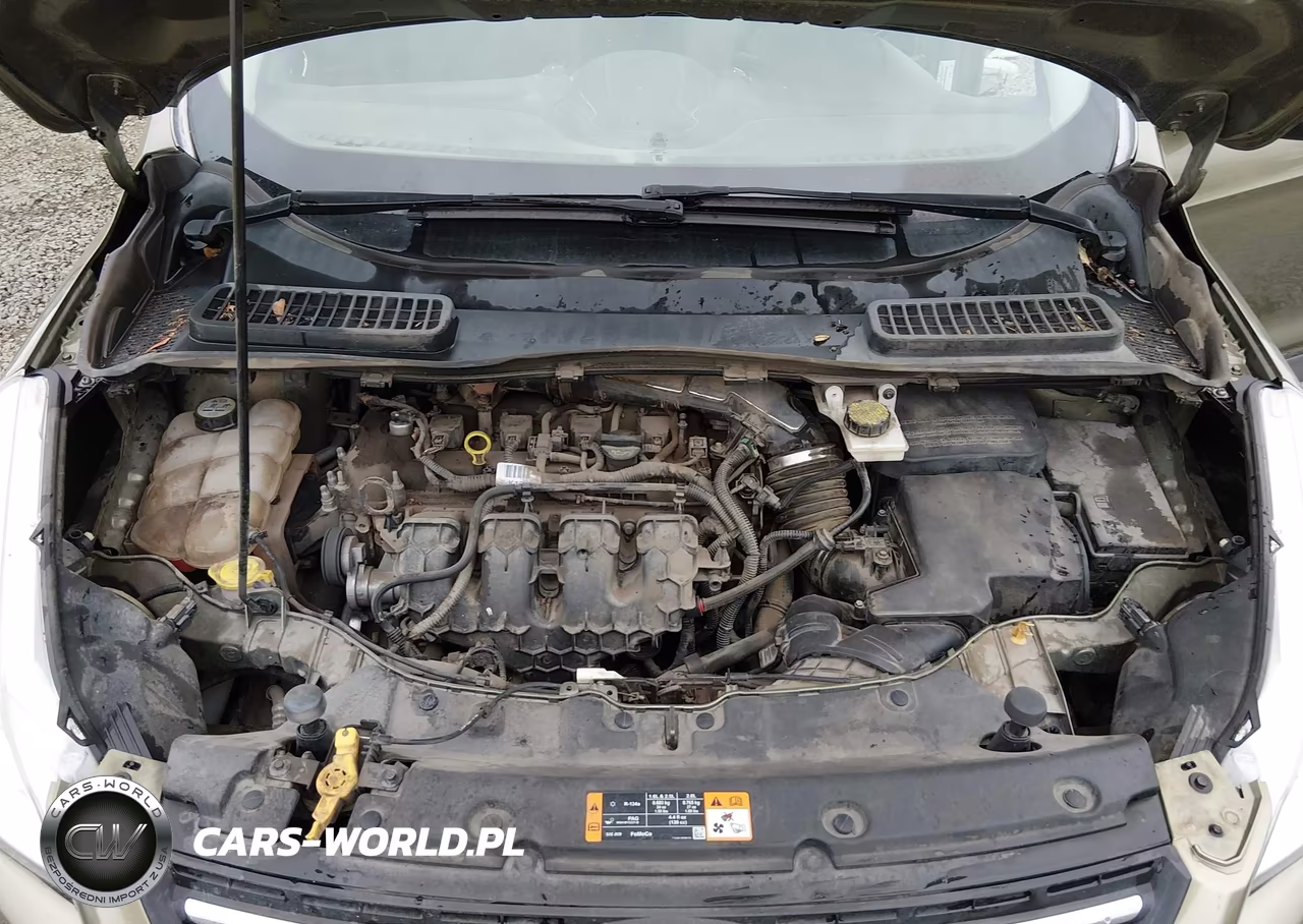 2013 Ford Escape Se VIN:1FMCU9G94DUA17887 - 10