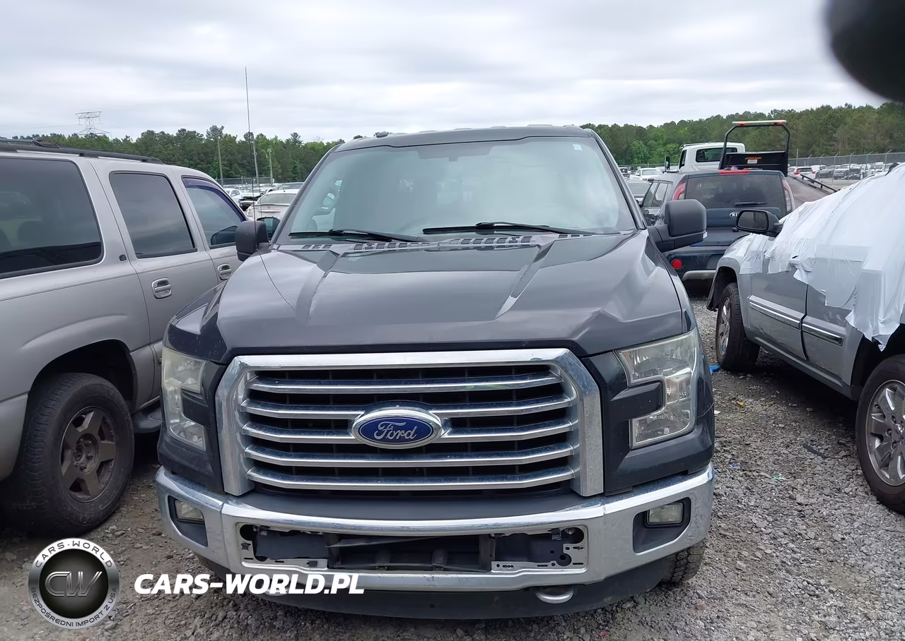 2015 Ford F-150 Xlt VIN:1FTEW1EG7FFC83681 - 13
