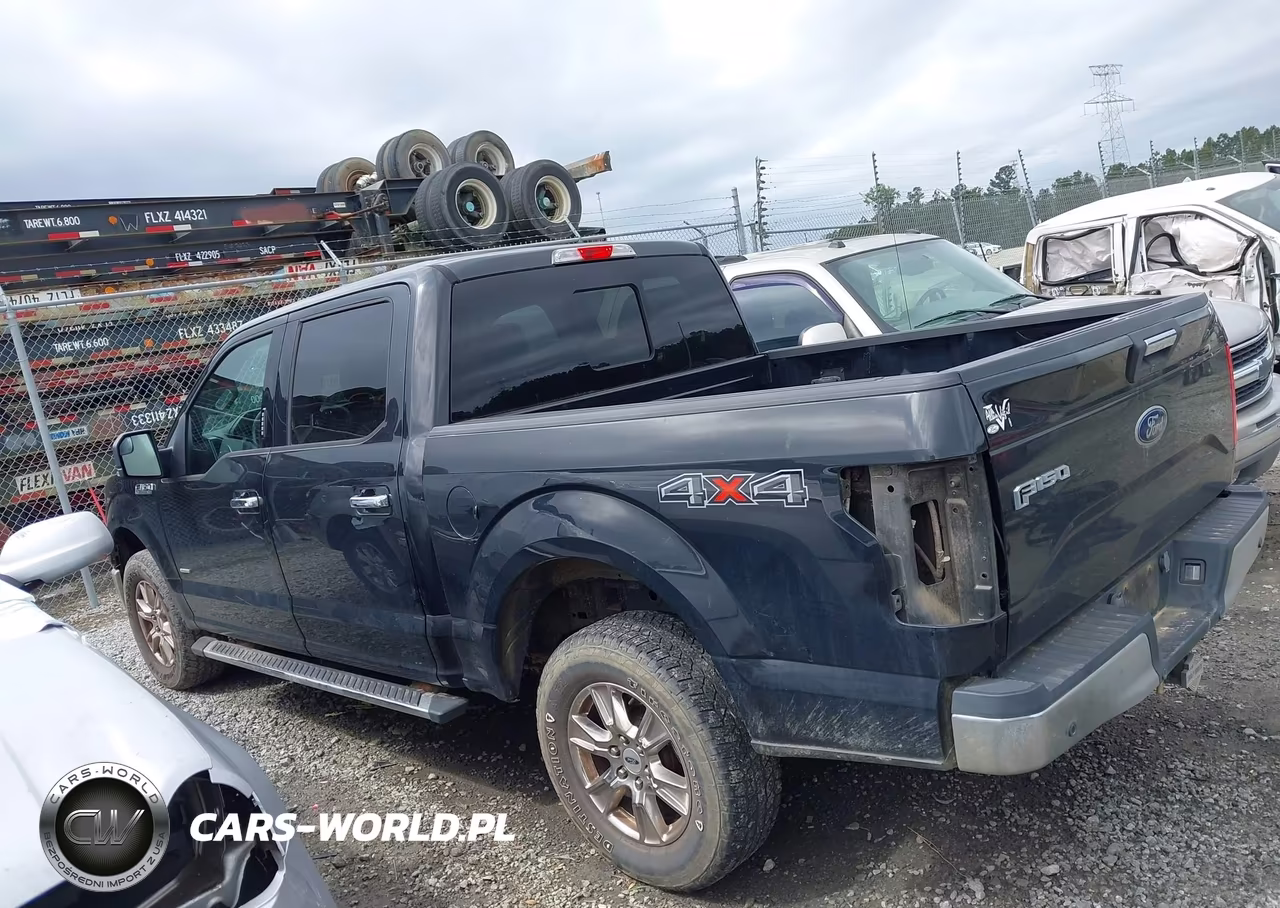 2015 Ford F-150 Xlt VIN:1FTEW1EG7FFC83681 - 15