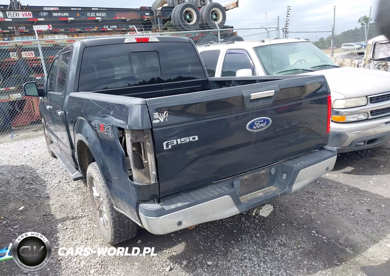2015 Ford F-150 Xlt VIN:1FTEW1EG7FFC83681 - 3