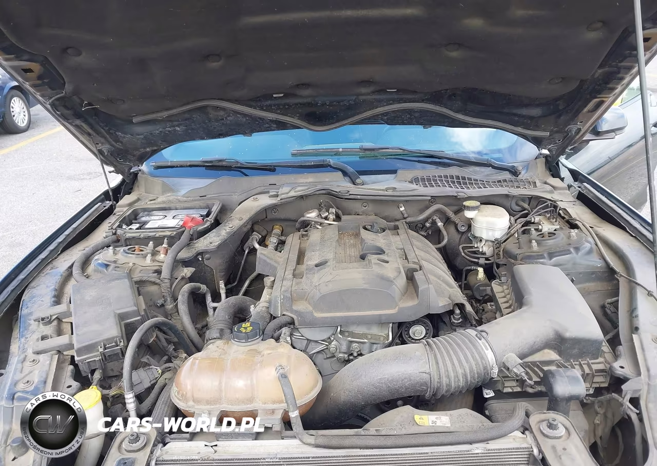 2015 Ford Mustang Ecoboost VIN:1FA6P8TH0F5413723 - 10