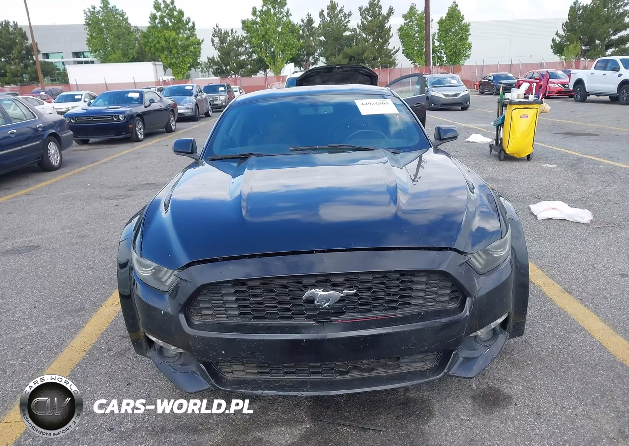 2015 Ford Mustang Ecoboost VIN:1FA6P8TH0F5413723 - 13