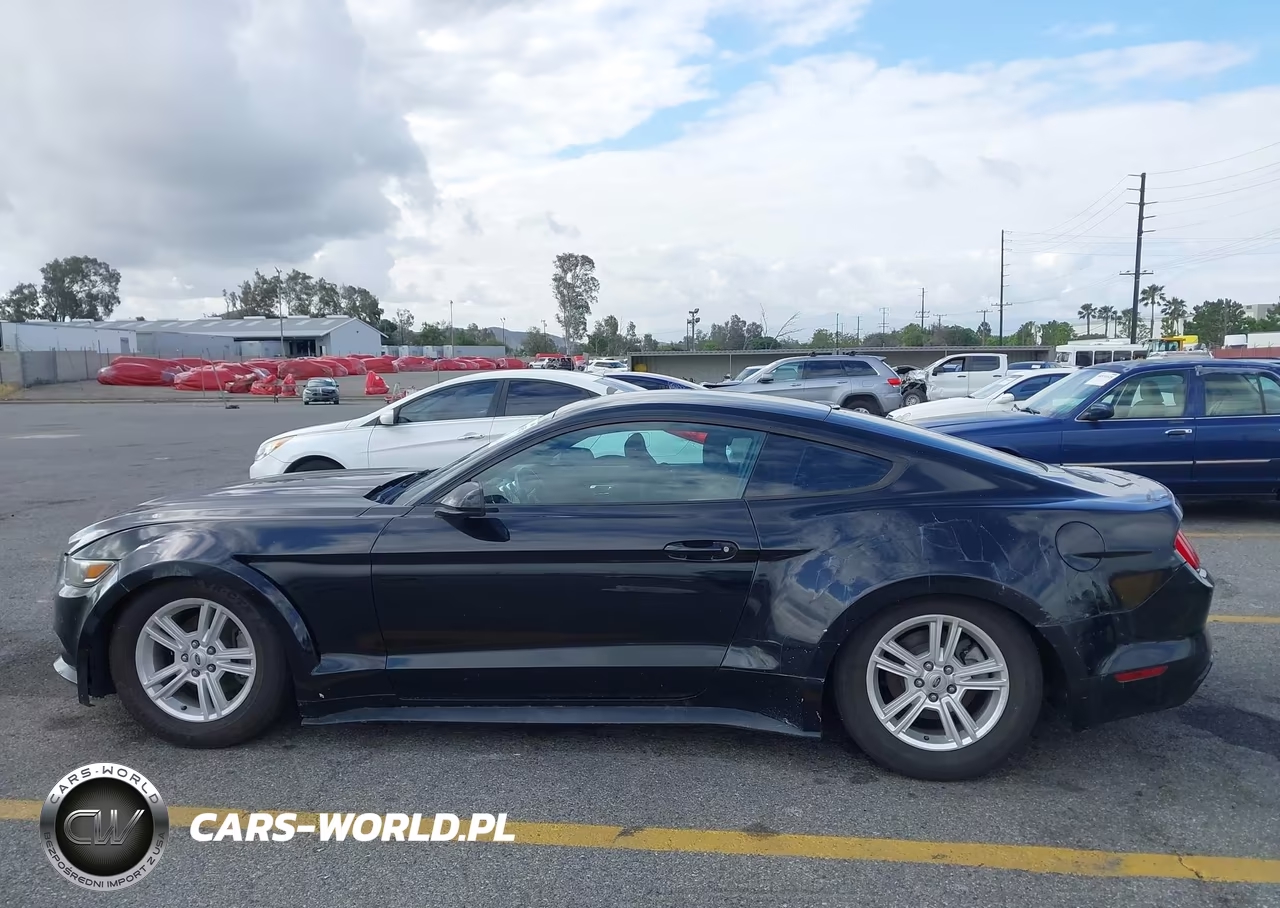 2015 Ford Mustang Ecoboost VIN:1FA6P8TH0F5413723 - 15