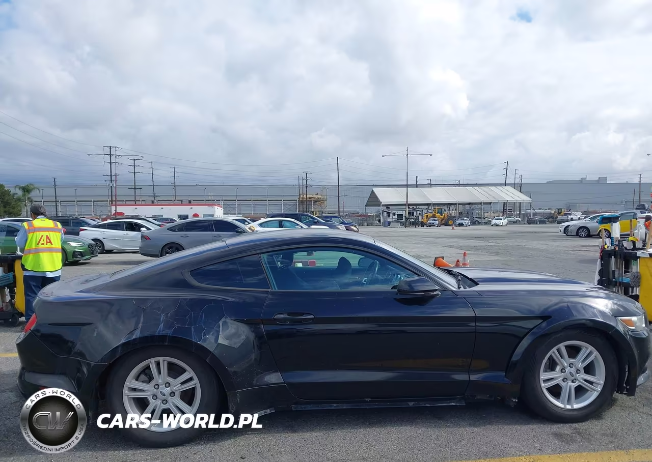 2015 Ford Mustang Ecoboost VIN:1FA6P8TH0F5413723 - 19