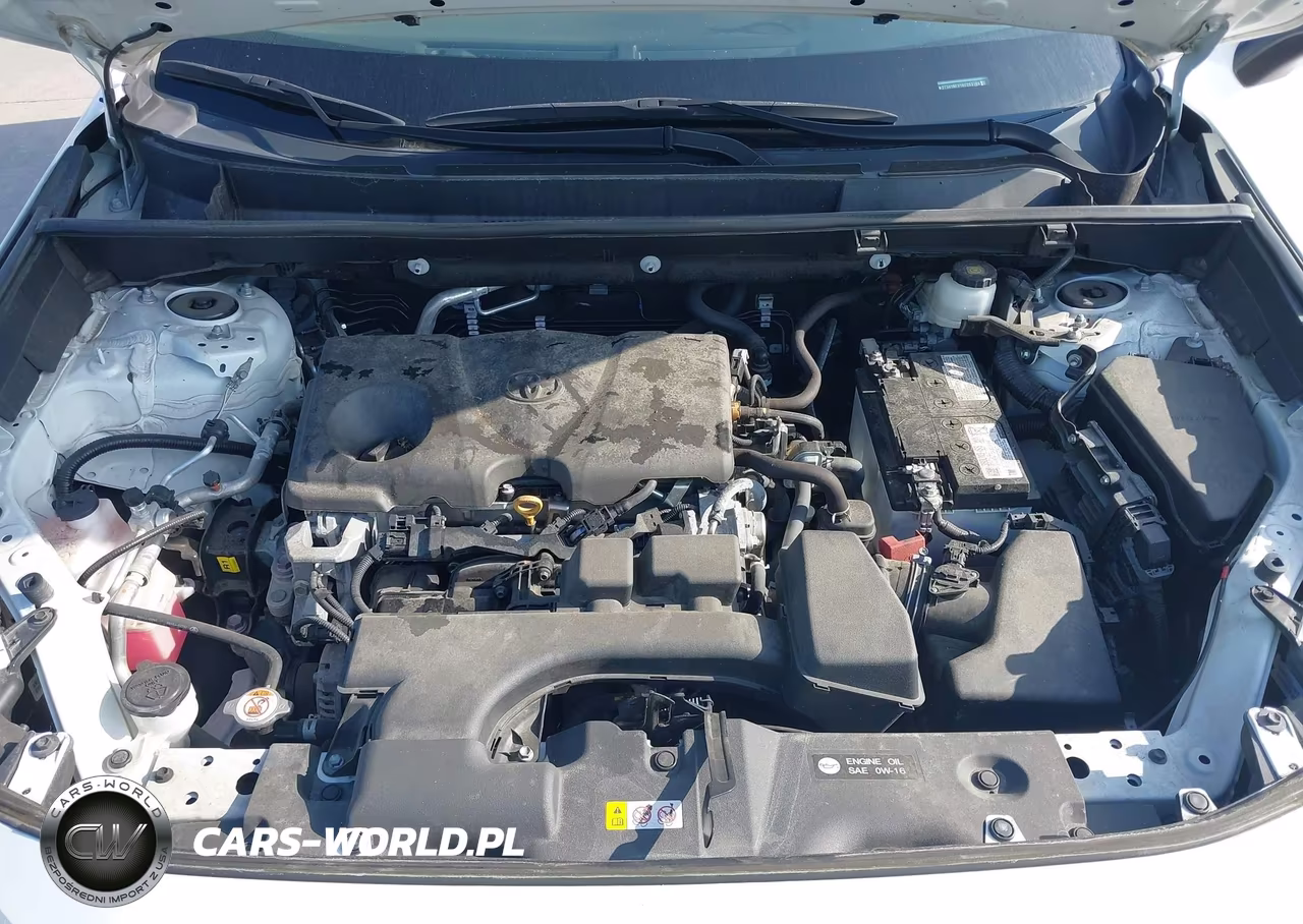 2024 Toyota Rav4 Le VIN:2T3H1RFV1RC253166 - 10