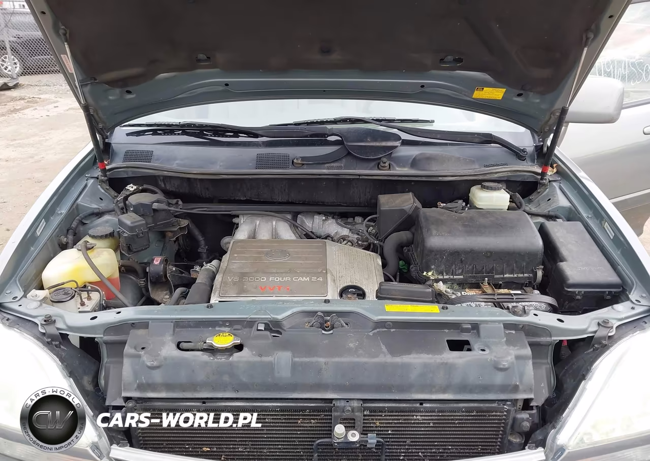 2003 Lexus Rx 300 VIN:JTJHF10U430298211 - 10