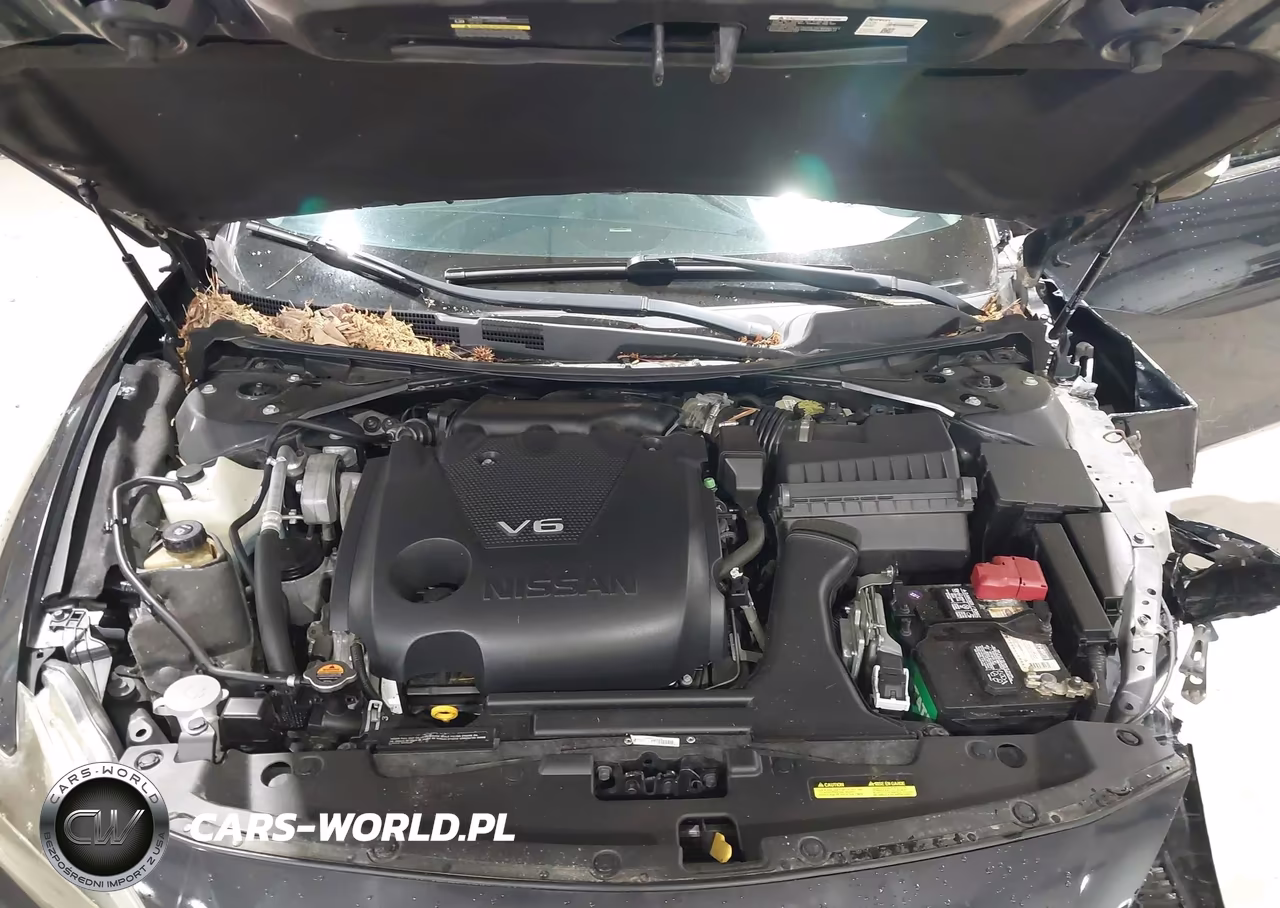 2017 Nissan Maxima 3.5 Sl VIN:1N4AA6AP3HC420772 - 10