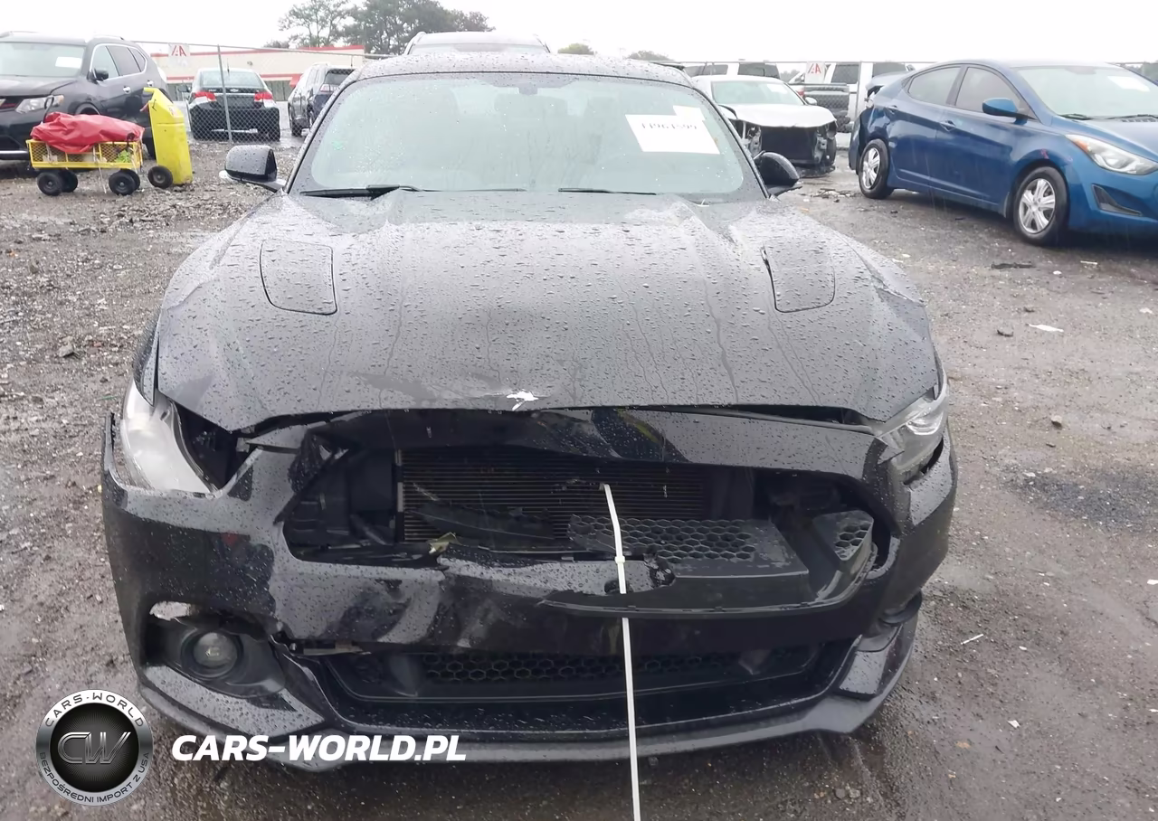 2016 Ford Mustang Gt VIN:1FA6P8CF2G5309119 - 12