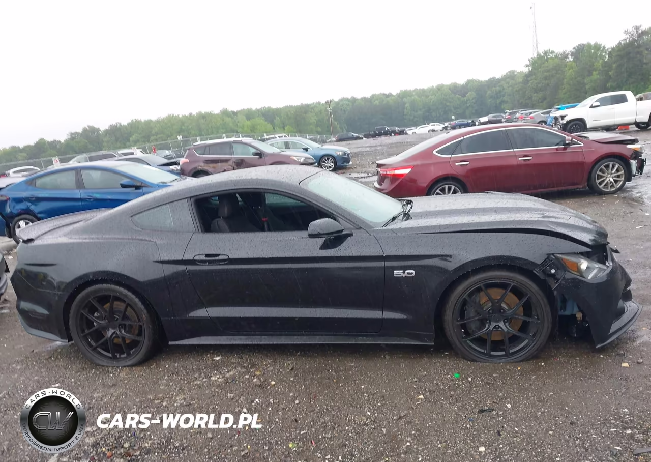 2016 Ford Mustang Gt VIN:1FA6P8CF2G5309119 - 13