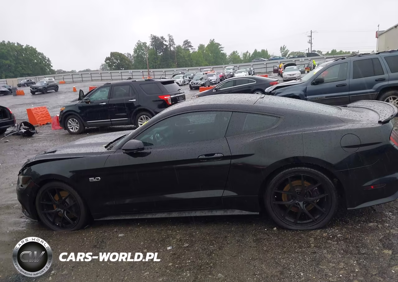 2016 Ford Mustang Gt VIN:1FA6P8CF2G5309119 - 14