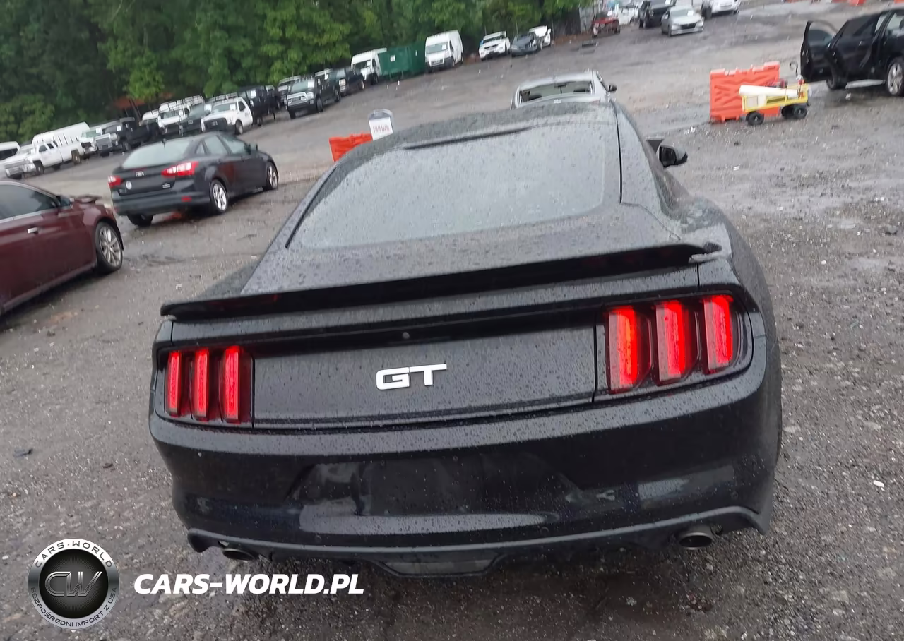 2016 Ford Mustang Gt VIN:1FA6P8CF2G5309119 - 16