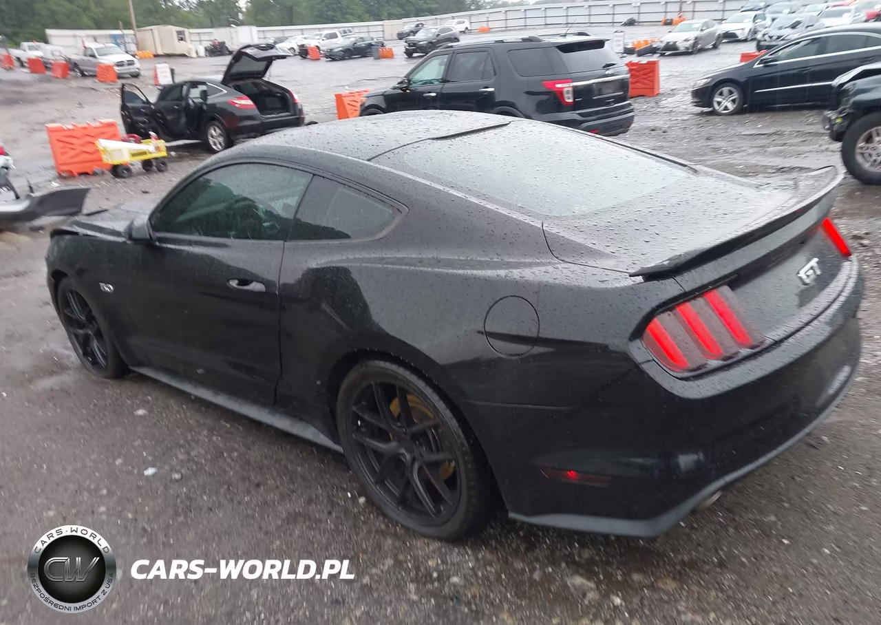 2016 Ford Mustang Gt VIN:1FA6P8CF2G5309119 - 3