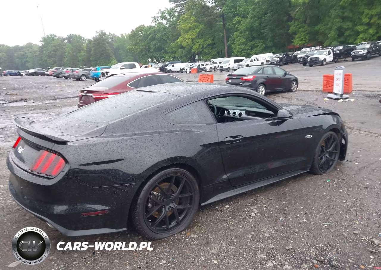 2016 Ford Mustang Gt VIN:1FA6P8CF2G5309119 - 4
