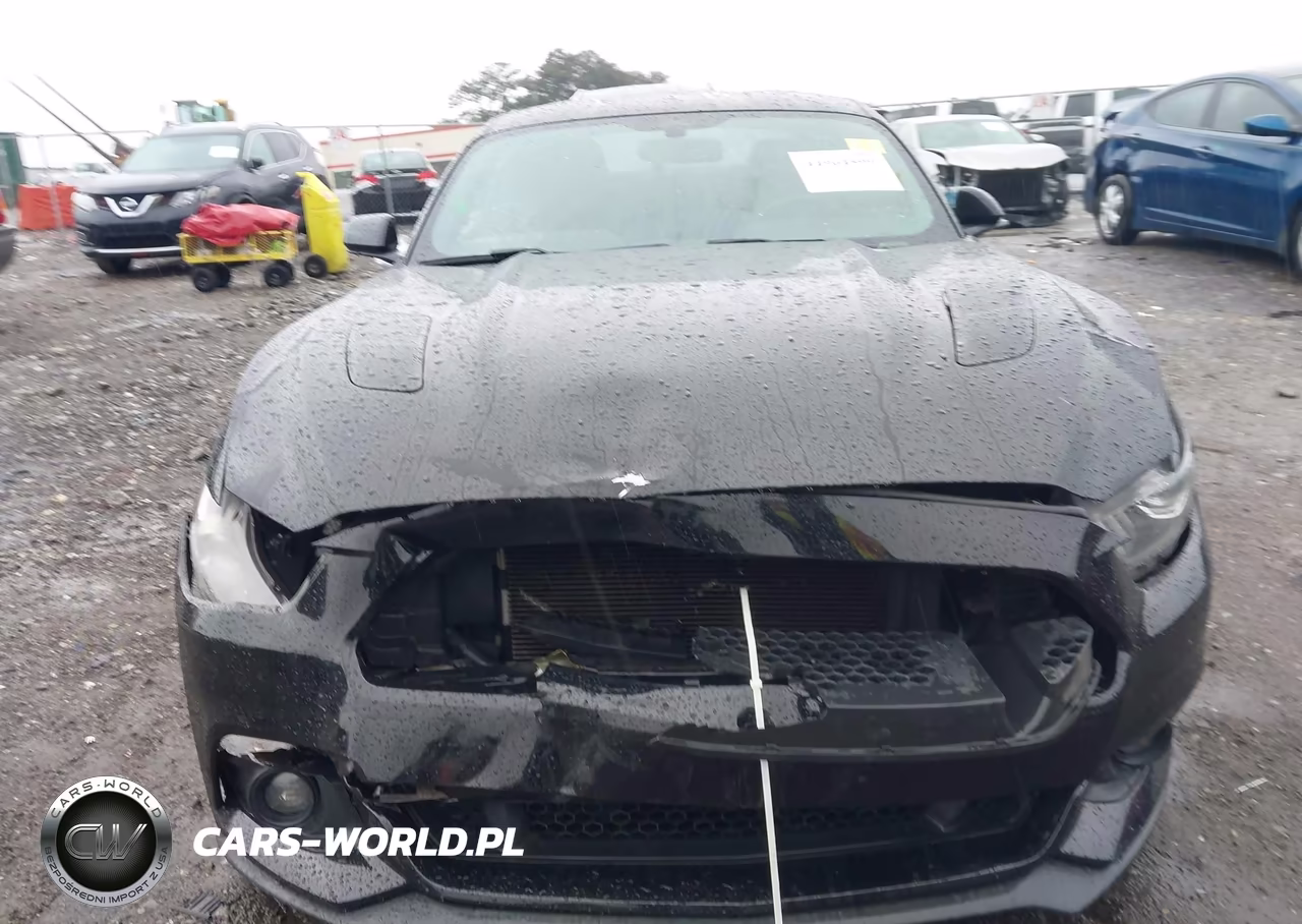2016 Ford Mustang Gt VIN:1FA6P8CF2G5309119 - 6