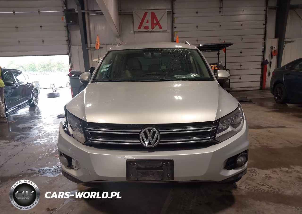 2014 Volkswagen Tiguan Se VIN:WVGAV3AX2EW519750 - 12