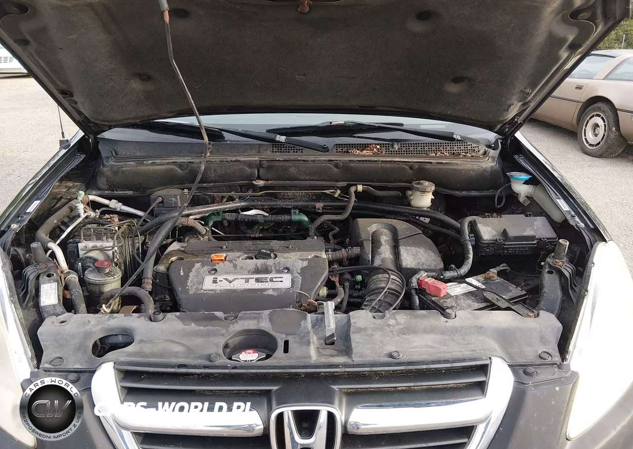 2004 Honda Cr-V Ex VIN:JHLRD78854C026955 - 10